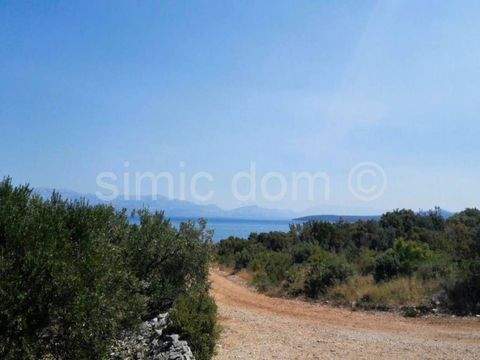 Solta Bauernhöfe, Landwirtschaft, Solta Forstwirtschaft