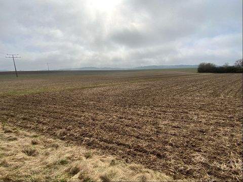Kipfenberg Bauernhöfe, Landwirtschaft, Kipfenberg Forstwirtschaft