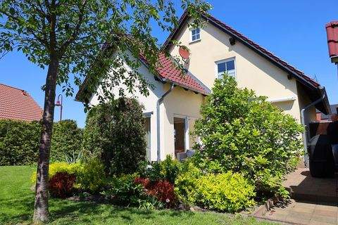 Grimma Häuser, Grimma Haus kaufen