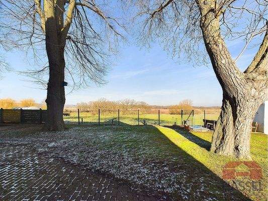 Hinter dem Haus hinaus