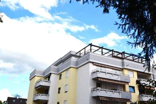 DSC_0081 (FILEminimizer)