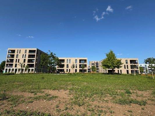 Ansicht Kohlhoff-Carré gesamt