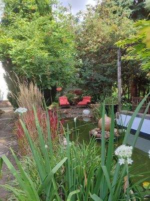 Blick durch den Garten