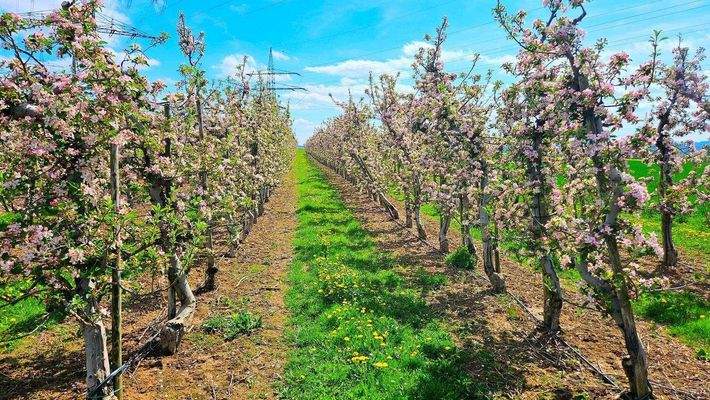 26 Impressionen Umgebung.jpg