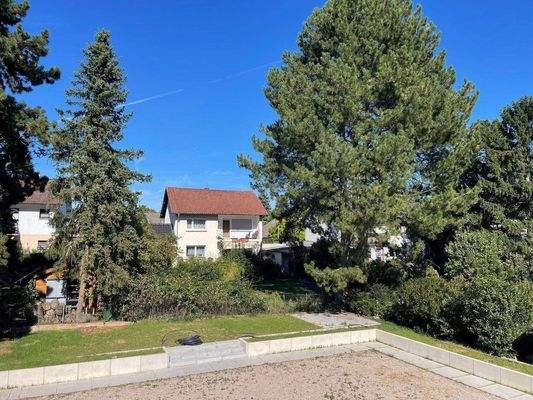 Blick von der Dachterrasse!