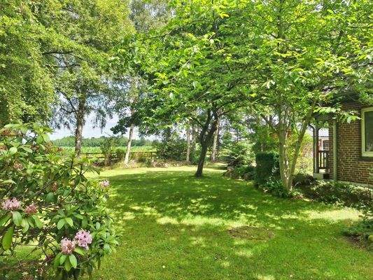 Viel Platz und schöner Baumbestand im Garten