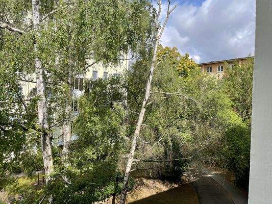 Balkonblick im Sommer