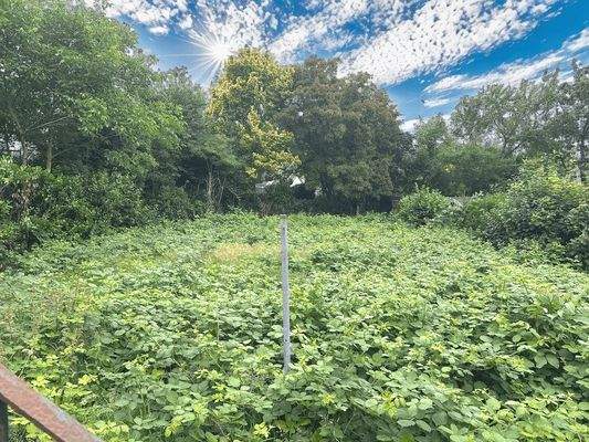 Gartenanteil hinter Altbestand