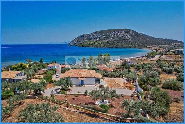 c52f3590ffaa4bd8b562252ba8ccf751-original