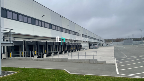 Langenhagen Halle, Langenhagen Hallenfläche