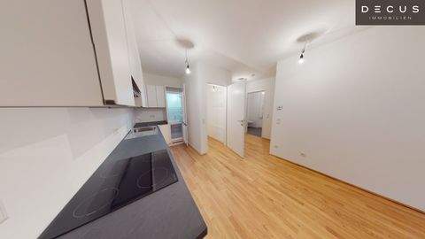 Wien Wohnungen, Wien Wohnung mieten