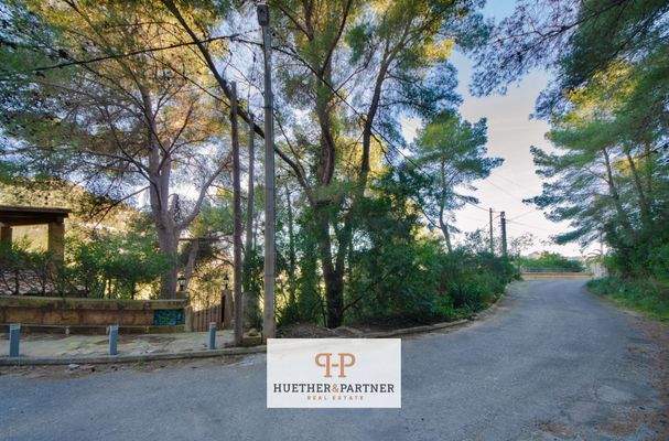 DSC_7531-Editar-Editar (1)