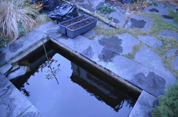 Ihr neues Zuhause mit Garten