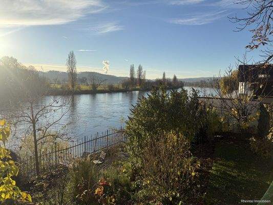 Blick auf den Rhein