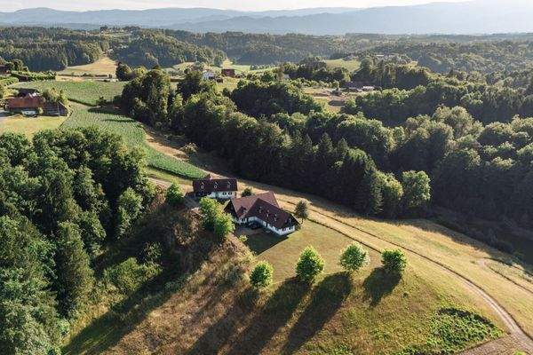 Pansy Haus Holzbauereggstraße 07 2025-7