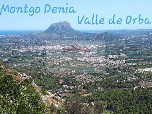 15.valle de Orba team royal finca.jpg