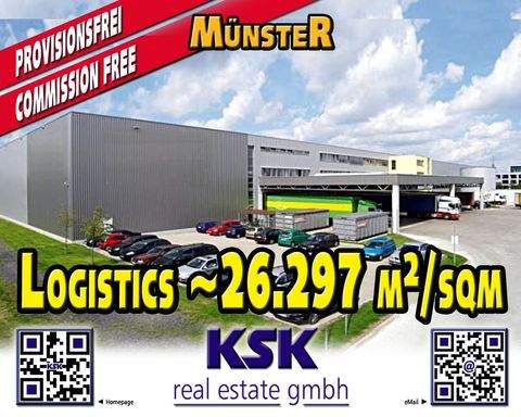 Münster Halle, Münster Hallenfläche