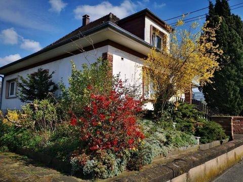 Bischwiller Häuser, Bischwiller Haus kaufen