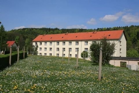 Bad Gottleuba-Berggießhübel Wohnungen, Bad Gottleuba-Berggießhübel Wohnung mieten