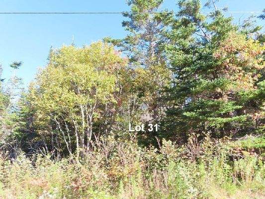 Cape Breton - Traumhaft schöne Atlantik-Lage am Be