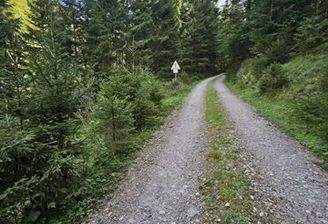 20230912_102801 (Copy)