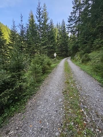 Lenggries Bauernhöfe, Landwirtschaft, Lenggries Forstwirtschaft