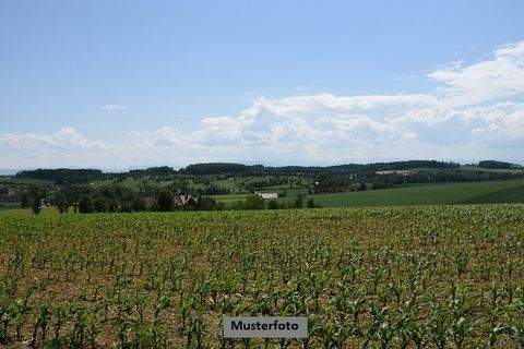 Nürnberg Bauernhöfe, Landwirtschaft, Nürnberg Forstwirtschaft