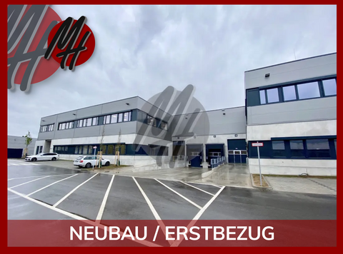 Reiskirchen Halle, Reiskirchen Hallenfläche