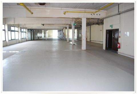 Nürnberg Halle, Nürnberg Hallenfläche