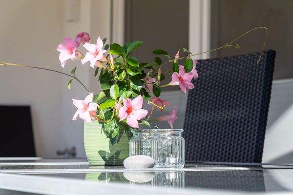 LeonWood_Blockhaus_Individual_Brand_033