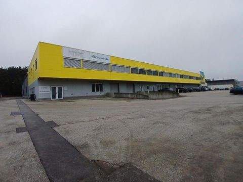 Poggersdorf Halle, Poggersdorf Hallenfläche