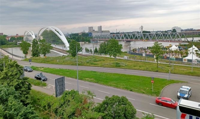 Aussicht über den Rhein bis nach Straßburg 