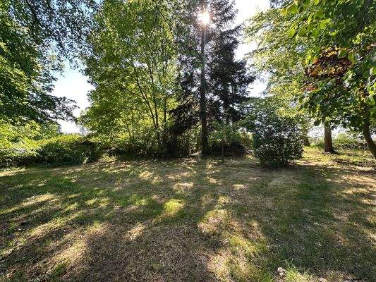 weitläufiges Grundstück