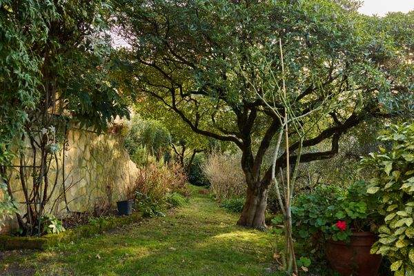 Brenzone - Via Boccino 7 - ID1_9331 (WEB).jpg