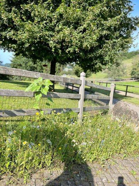 Waldshut-Tiengen Bauernhöfe, Landwirtschaft, Waldshut-Tiengen Forstwirtschaft
