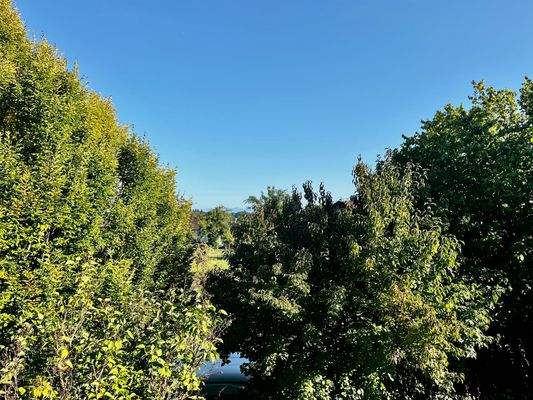 Der schöne Blick ins Grüne