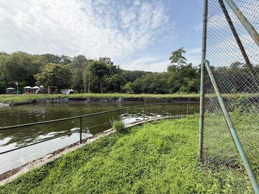 Blick auf den Nebenarm der Wied
