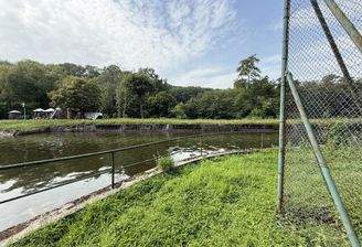 Blick auf den Nebenarm der Wied