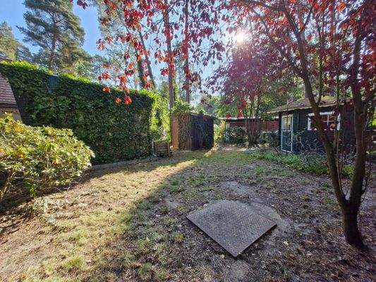 hinterer Garten mit Baum- und Heckenbestand