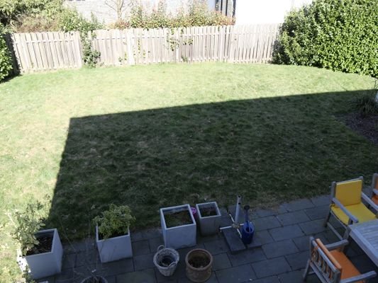 Blick in den Garten