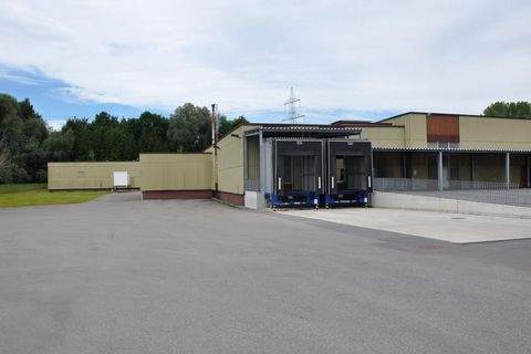 Meiningen Halle, Meiningen Hallenfläche