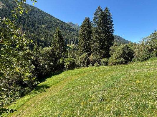 Ulten – Tourismus, Bauen und Gastronomie vereinen sich hier mit einzigartigen Chancen für neue Ideen und ein attraktives Baugrundstück – Ultimo, turismo, costruzioni e gastronomia si incontrano qui con opportunità uniche per nuove idee e un terreno edific