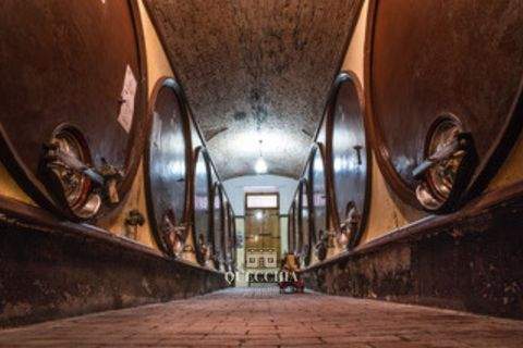 Padenghe del Garda Renditeobjekte, Mehrfamilienhäuser, Geschäftshäuser, Kapitalanlage