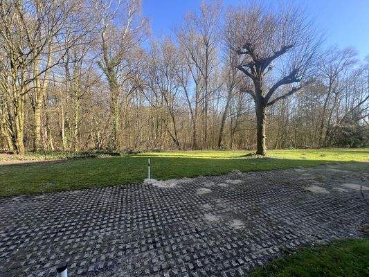 Blick aus dem Garten