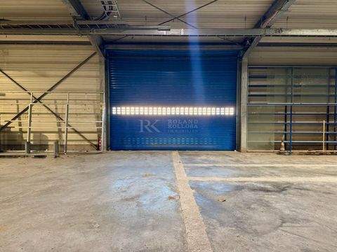 Ramstein-Miesenbach Halle, Ramstein-Miesenbach Hallenfläche