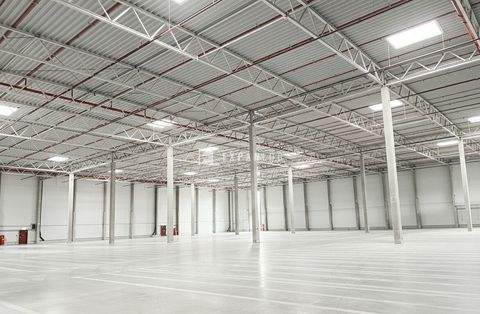 Langenfeld Halle, Langenfeld Hallenfläche