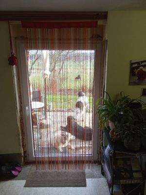 Wohnzimmer EG Zugang Terrasse