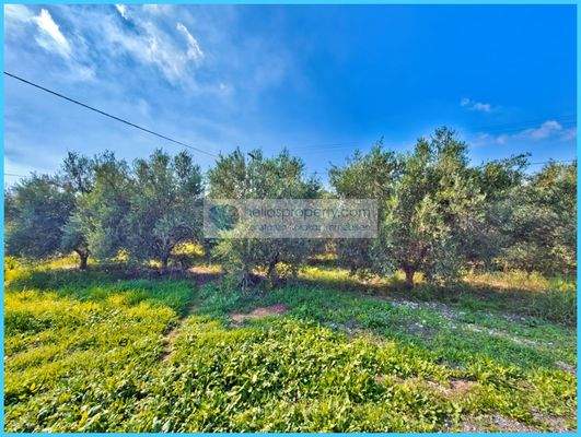 e030e9449a474c5a95a7b4b45a1ff84d-original