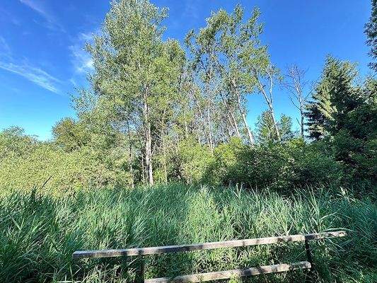 20250625_073827460_iOS