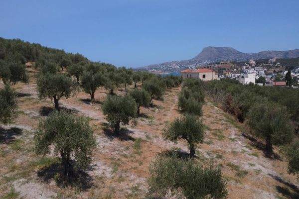 Kreta, Kalyves: Weitläufiges Grundstück mit Meerblick zu verkaufen